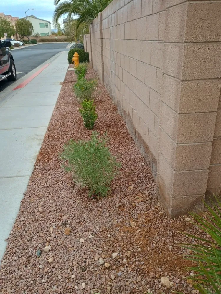 Affordable residential landscaping in Las Vegas, NV - Lobo Landscaping & Maintenance