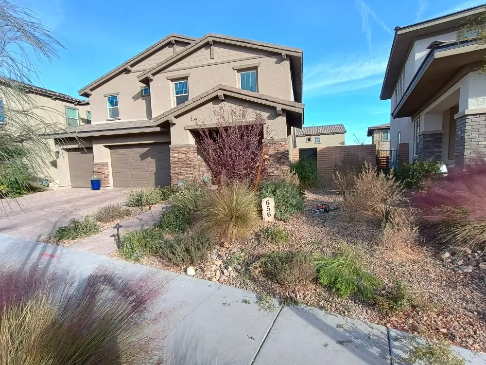 Expert yard cleanup service with custom design in Las Vegas, NV by Lobo Landscaping & Maintenance