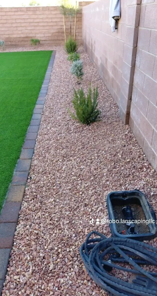 Professional landscaping services in Las Vegas, NV by Lobo Landscaping & Maintenance