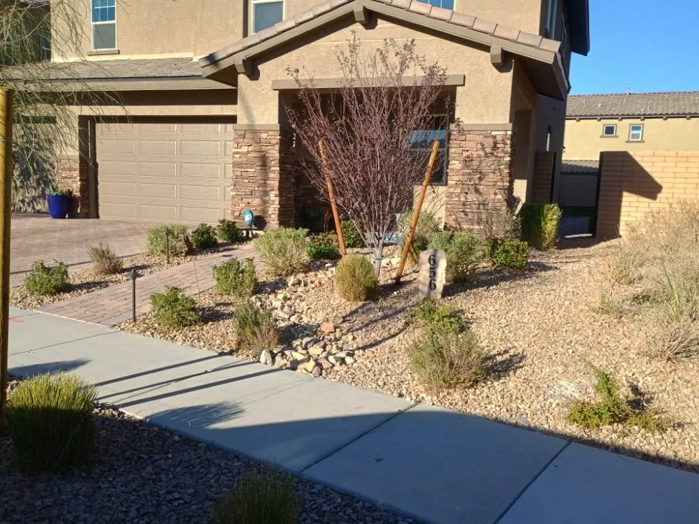 Affordable lawn mowing service experts serving Las Vegas, NV - Lobo Landscaping & Maintenance