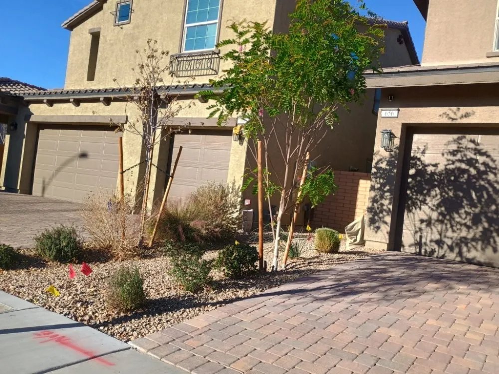Top-rated residential landscaping for beautiful yards in Las Vegas, NV by Lobo Landscaping & Maintenance