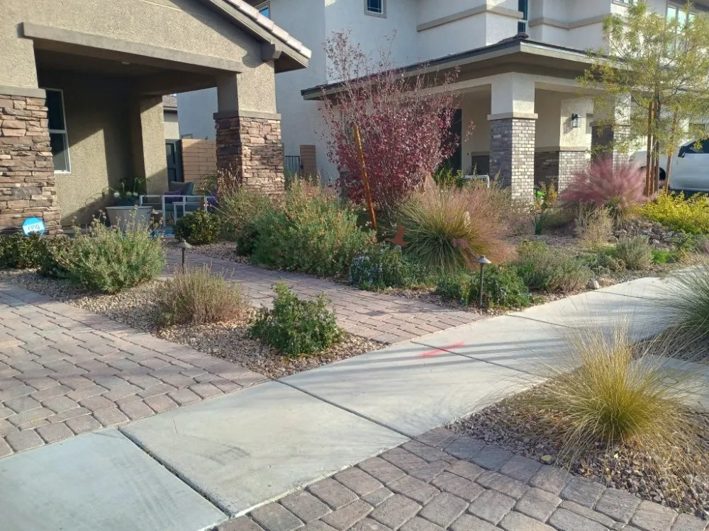 Trusted yard cleanup service in Las Vegas, NV - Lobo Landscaping & Maintenance