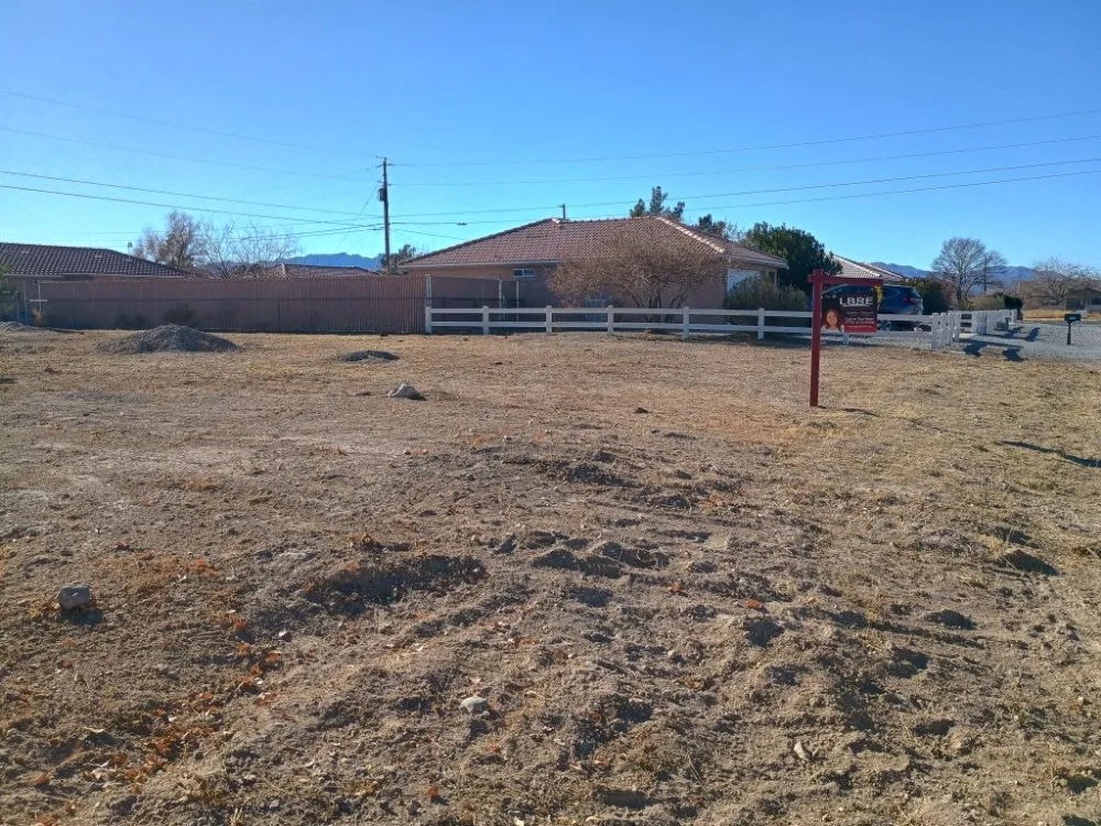 Affordable landscape installation in Las Vegas, NV by Lobo Landscaping & Maintenance