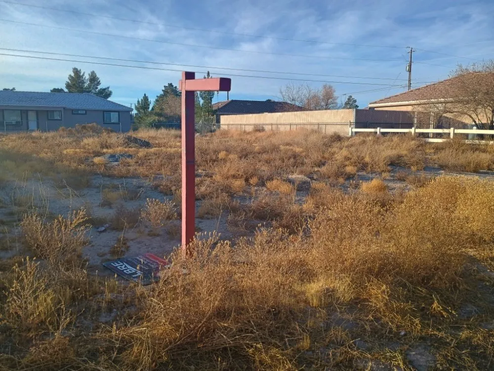 Custom landscape design for year-round maintenance in Las Vegas, NV by Lobo Landscaping & Maintenance
