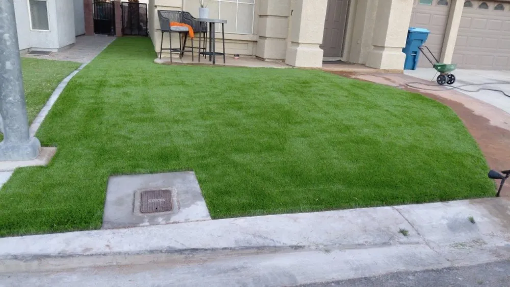 Trusted landscape design in Las Vegas, NV - Lobo Landscaping & Maintenance