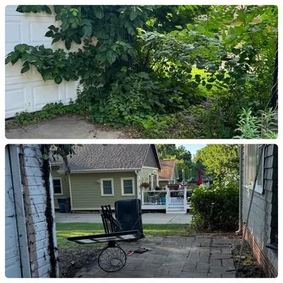 Lobo Lawn & Landscape Logo