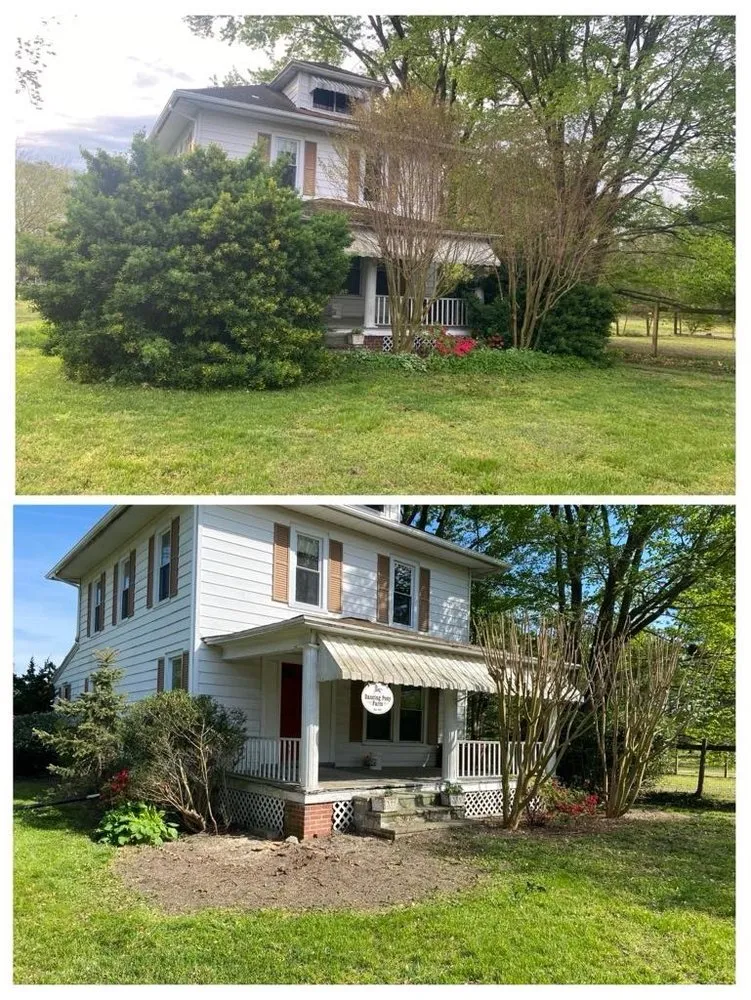 Custom yard maintenance in Salisbury, MD - Lobo Lawn Care