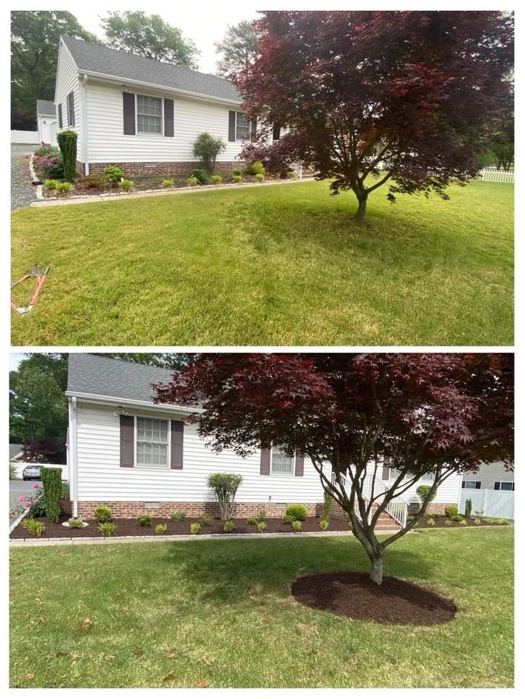 Top-rated yard maintenance experts serving Salisbury, MD - Lobo Lawn Care