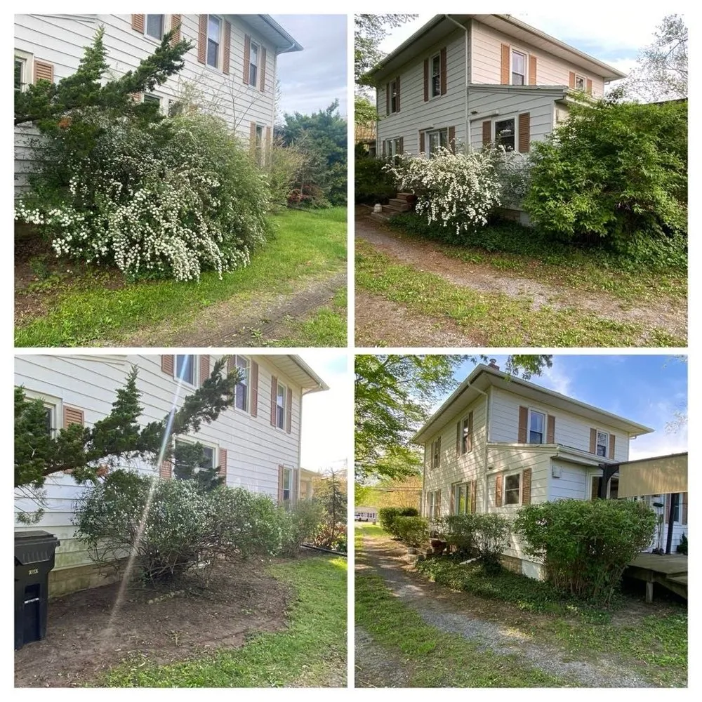 Local yard cleanup service near you across Salisbury, MD - Lobo Lawn Care