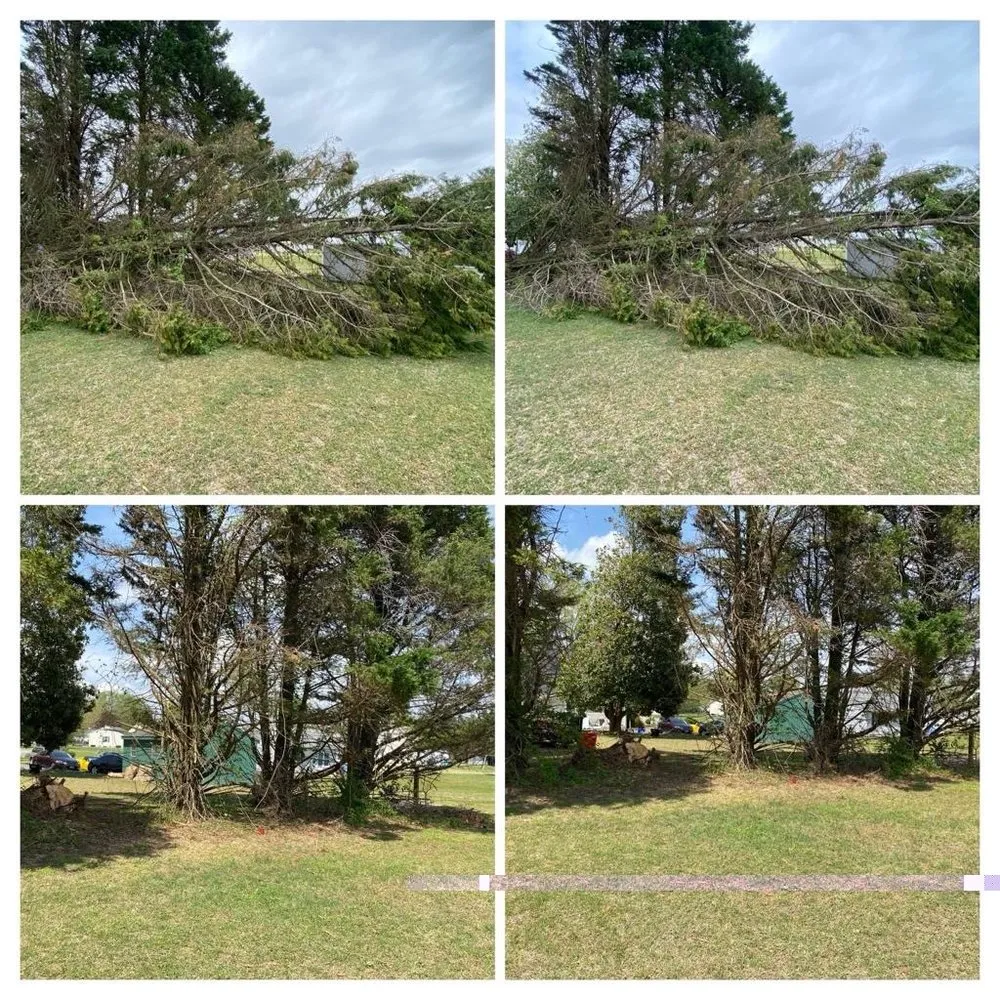 Trusted landscape installation for beautiful yards in Salisbury, MD by Lobo Lawn Care