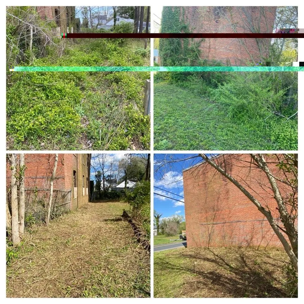 Reliable lawn care service near you across Salisbury, MD - Lobo Lawn Care