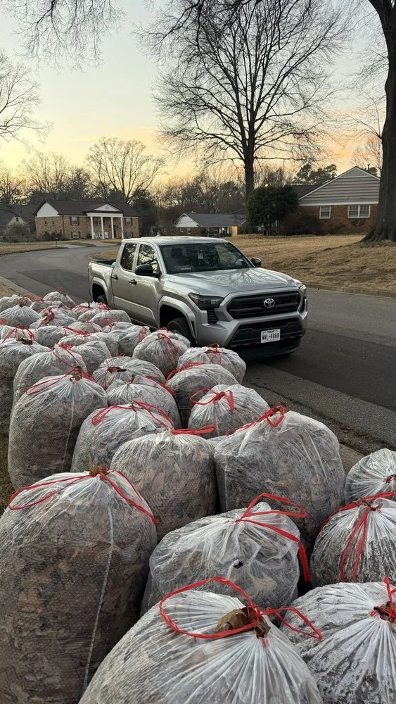 Professional landscape design experts serving Memphis, TN - Lobos Estate Services