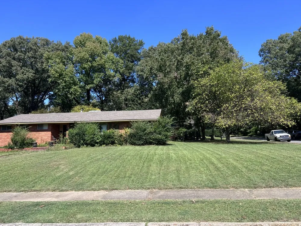 Professional residential landscaping near you across Memphis, TN - Lobos Estate Services