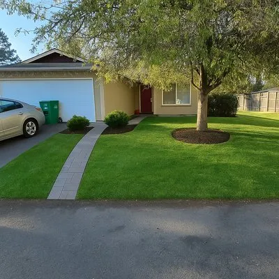 Lobo’s Landscaping & Maintenance Logo