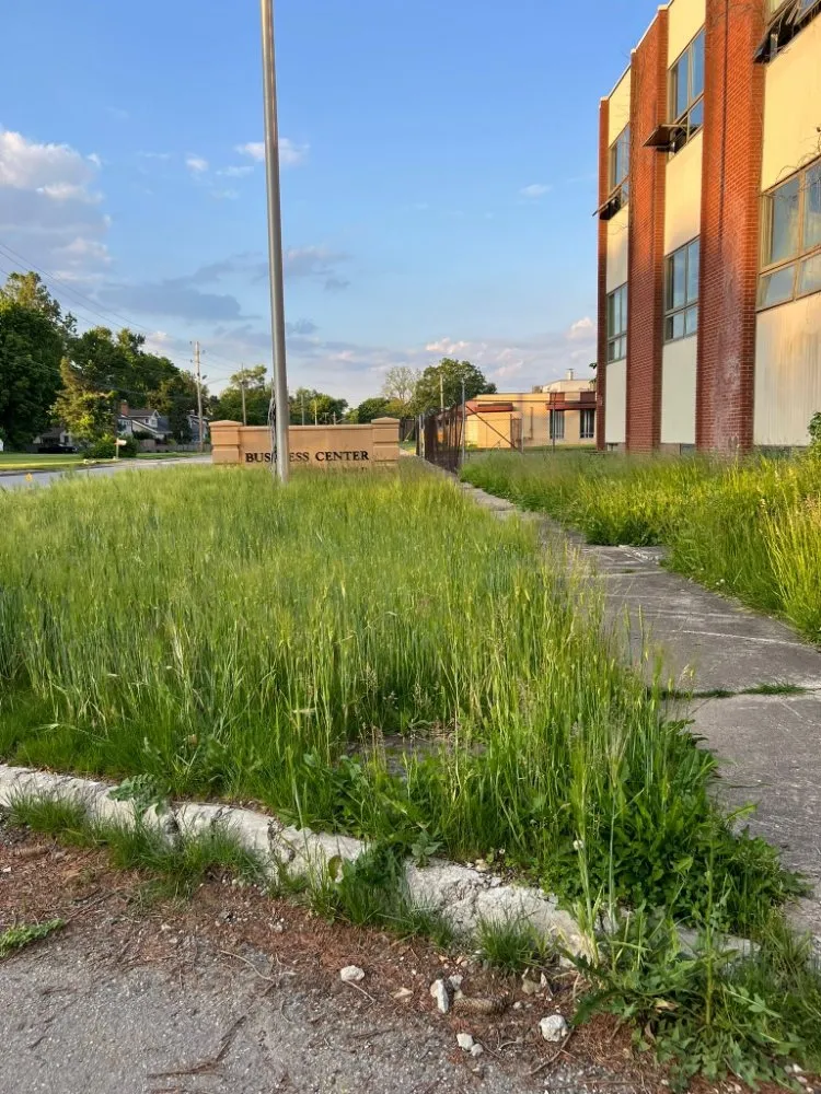 Top-rated landscape installation experts serving Indianapolis, IN - Lobo's World Landscaping