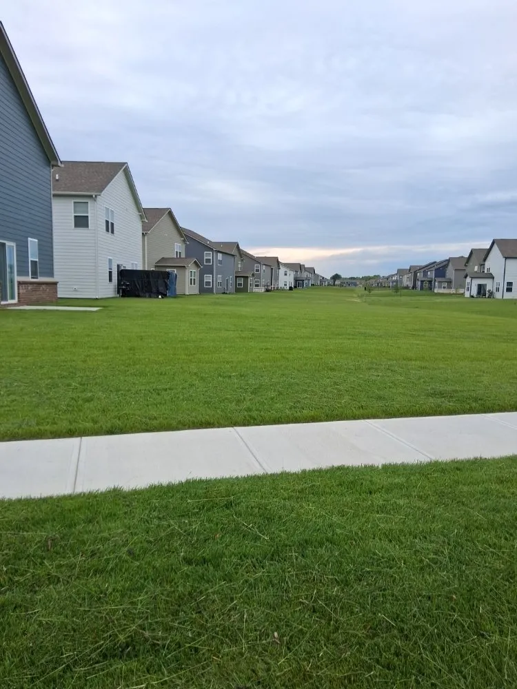 Custom landscaping services in Indianapolis, IN by Lobo's World Landscaping