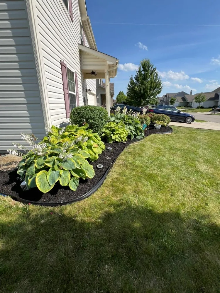 Affordable landscaping services in Indianapolis, IN - Lobo's World Landscaping