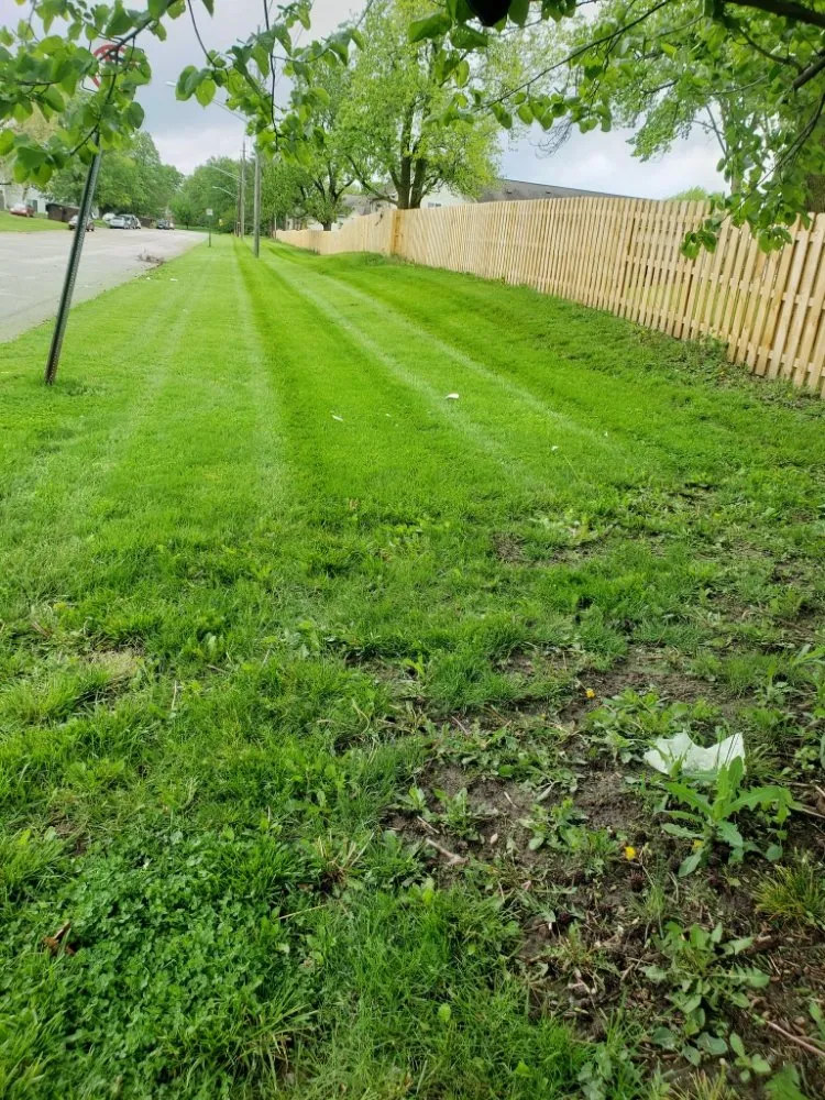 Trusted garden landscaping for outdoor upgrades in Indianapolis, IN by Lobo's World Landscaping