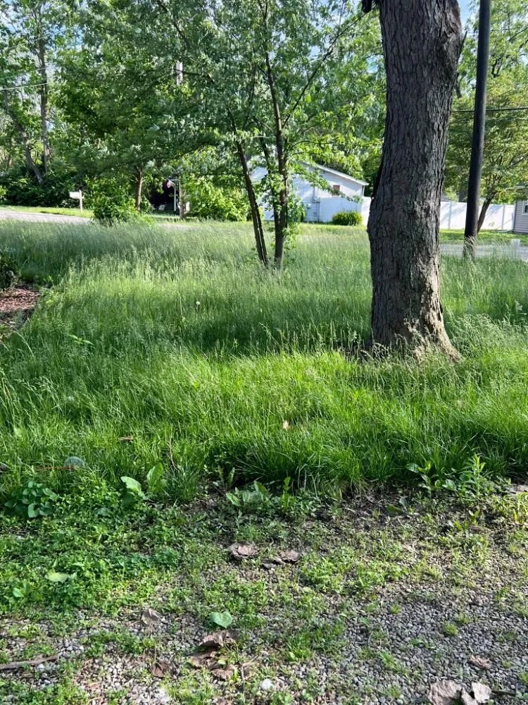 Trusted lawn care service for outdoor upgrades in Indianapolis, IN by Lobo's World Landscaping