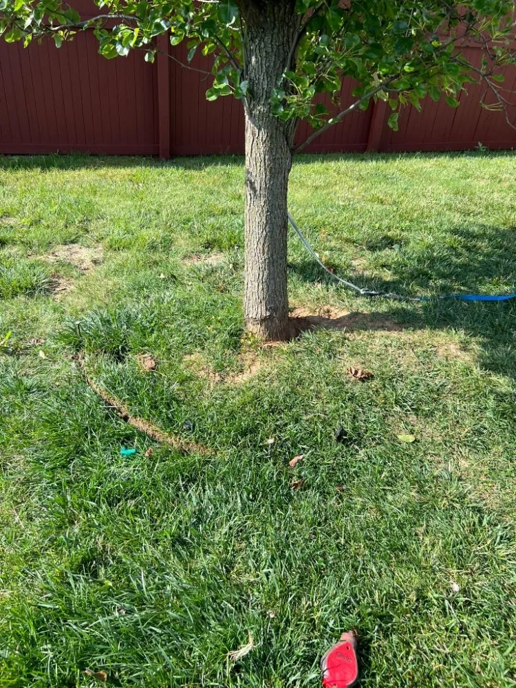 Professional landscape design for year-round maintenance across Indianapolis, IN - Lobo's World Landscaping