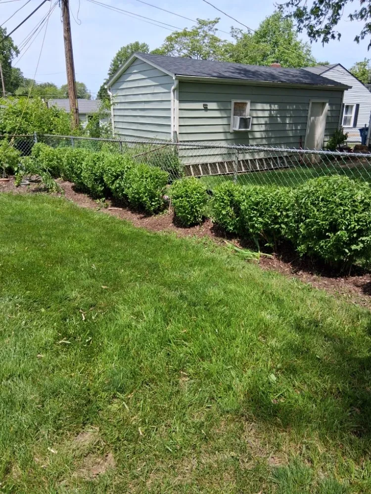 Expert lawn mowing service with custom design across Indianapolis, IN - Lobo's World Landscaping