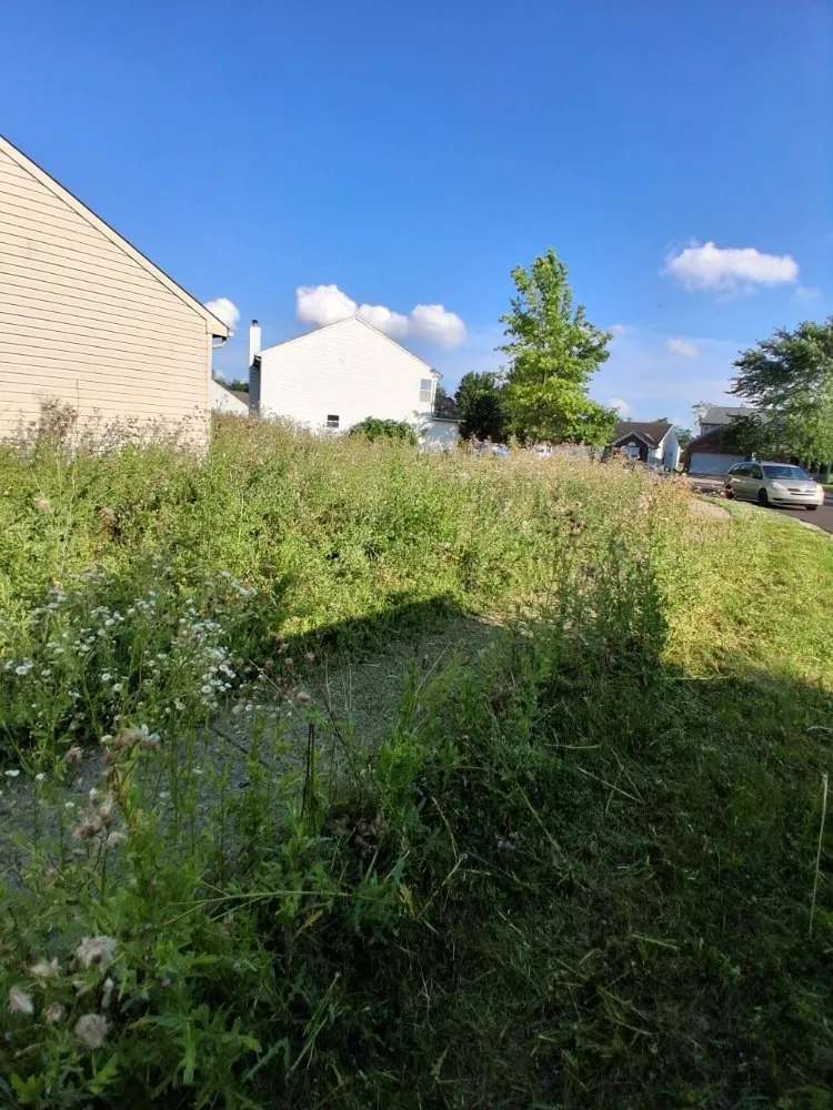 Affordable lawn mowing service in Indianapolis, IN - Lobo's World Landscaping