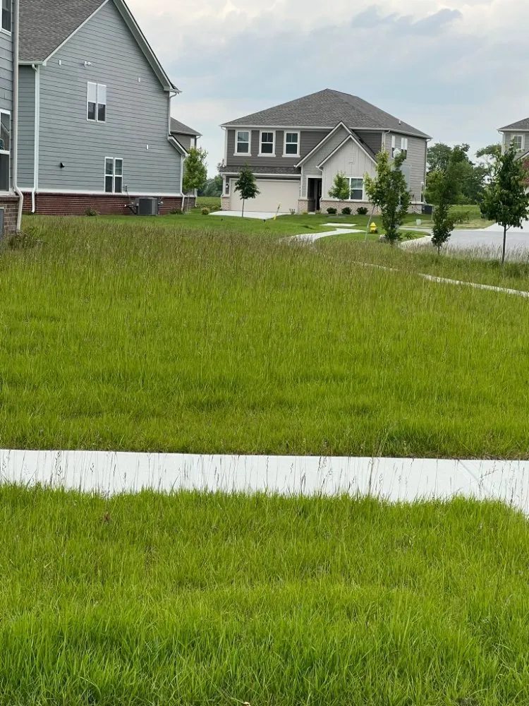 Local residential landscaping in Indianapolis, IN by Lobo's World Landscaping