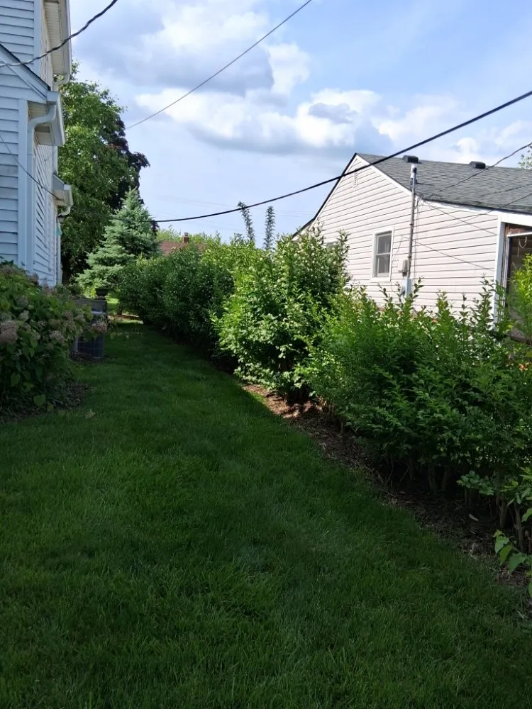 Professional yard maintenance near you across Indianapolis, IN - Lobo's World Landscaping