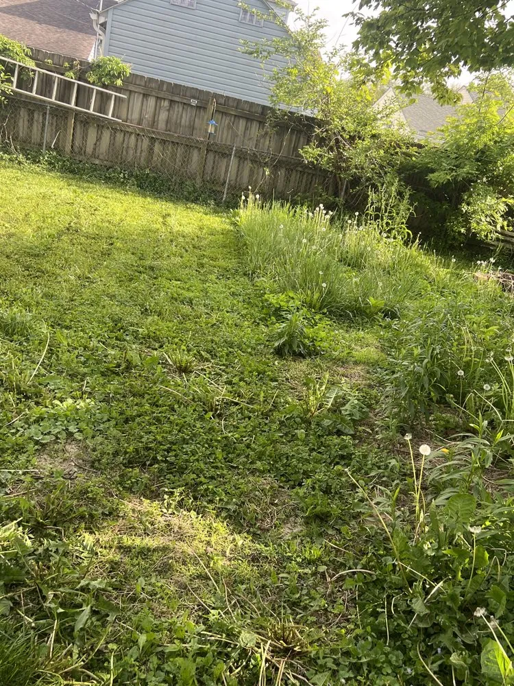 Reliable landscape installation in Indianapolis, IN by Lobo's World Landscaping