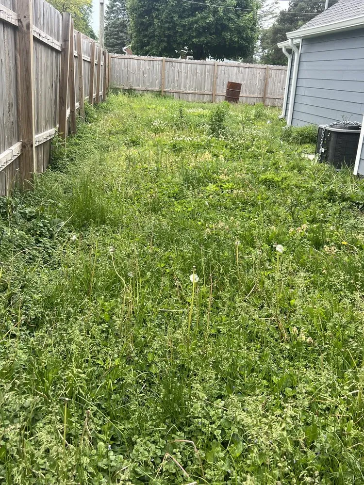 Affordable residential landscaping experts serving Indianapolis, IN - Lobo's World Landscaping