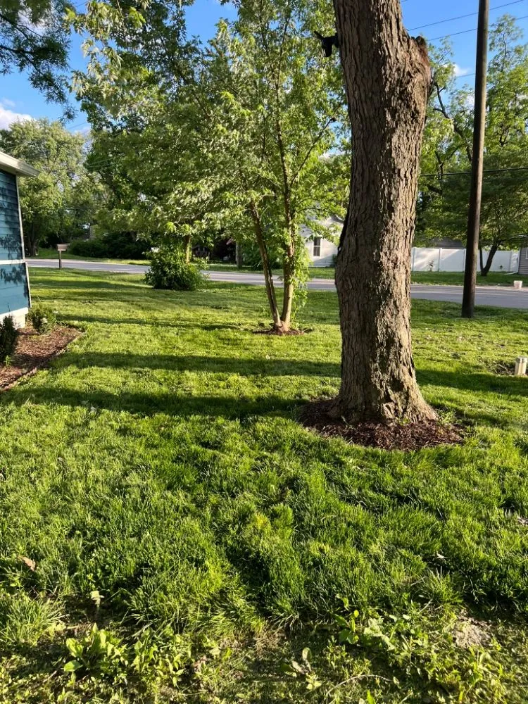 Expert landscape installation in Indianapolis, IN - Lobo's World Landscaping