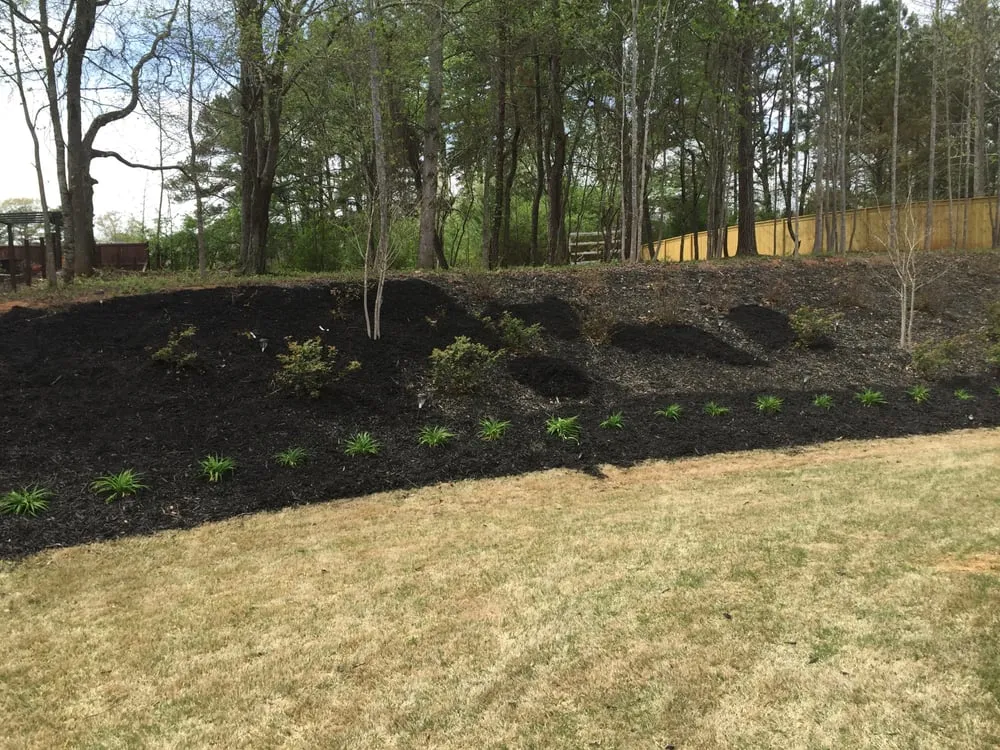 Professional yard cleanup service in Kennesaw, GA - Local Boys Assured Services