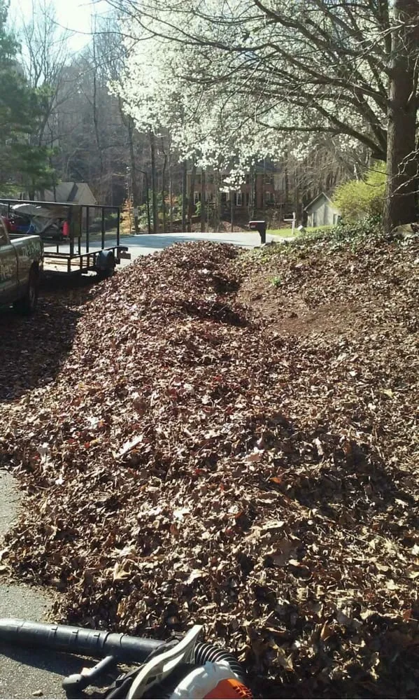 Professional landscape installation in Kennesaw, GA - Local Boys Assured Services