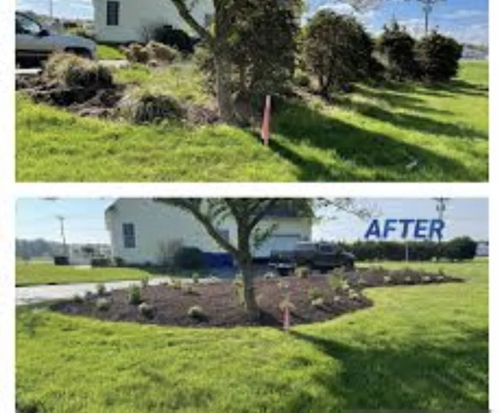 Custom lawn mowing service in Port Republic, MD - Local Boys Landscaping and Power Washing