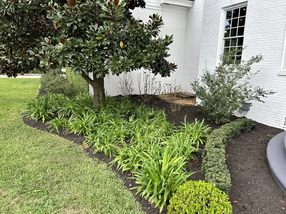 Affordable yard cleanup service with custom design across Orange Park, FL - Local Boys Lawncare