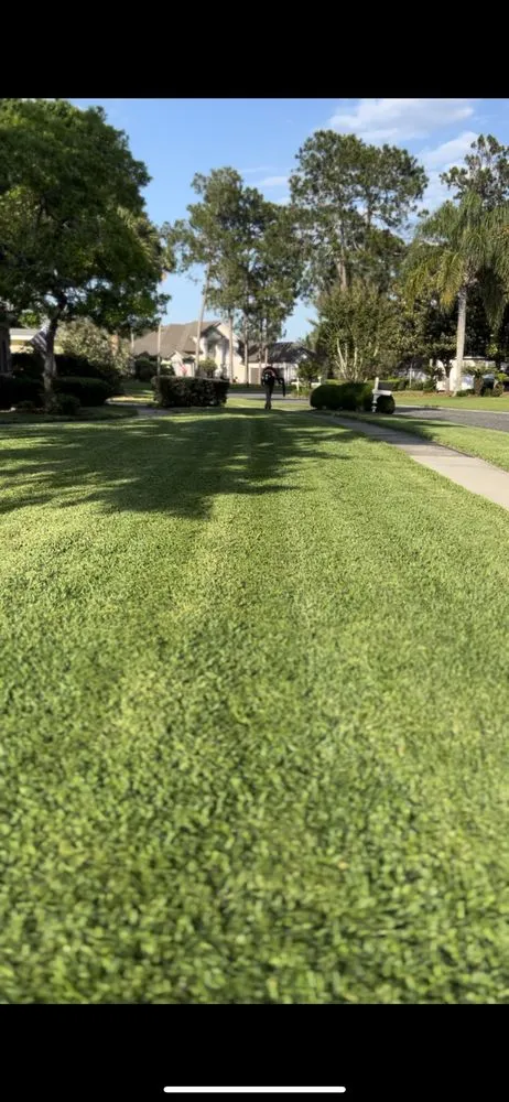 Custom lawn care service for beautiful yards in Orange Park, FL by Local Boys Lawncare