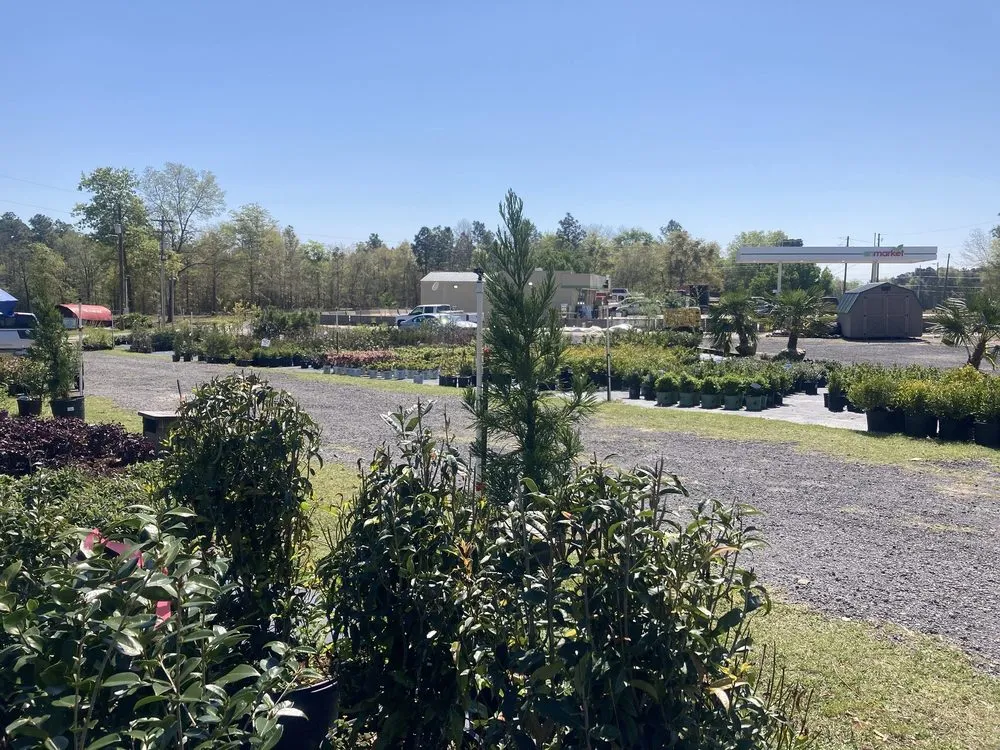 Affordable yard cleanup service for year-round maintenance in Salley, SC by Local Boy's Nursery & Landscaping