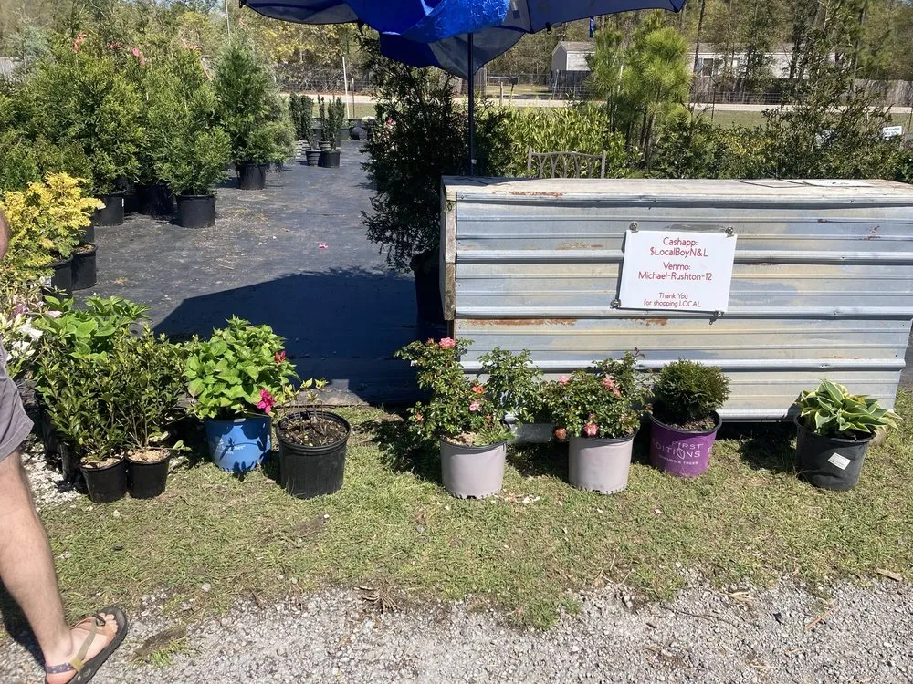Local lawn care service for homes across Salley, SC - Local Boy's Nursery & Landscaping