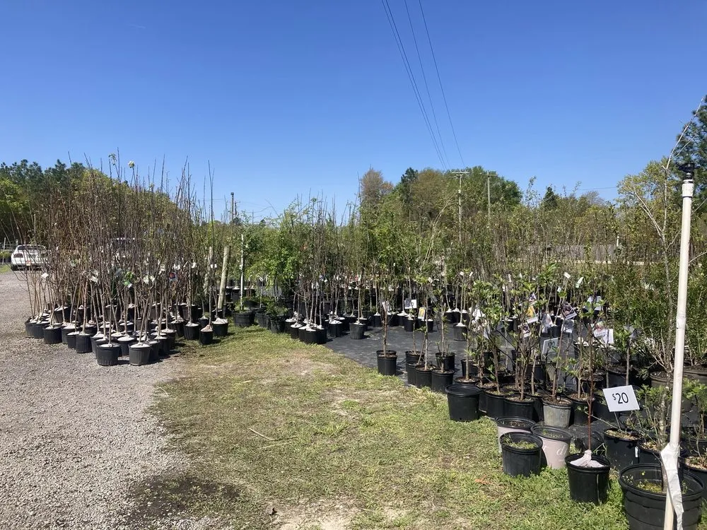 Trusted residential landscaping for residential properties in Salley, SC by Local Boy's Nursery & Landscaping