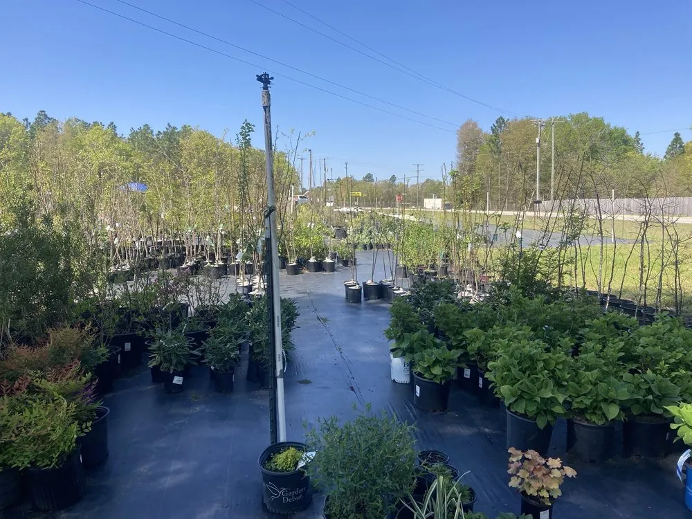 Professional lawn care service with custom design across Salley, SC - Local Boy's Nursery & Landscaping