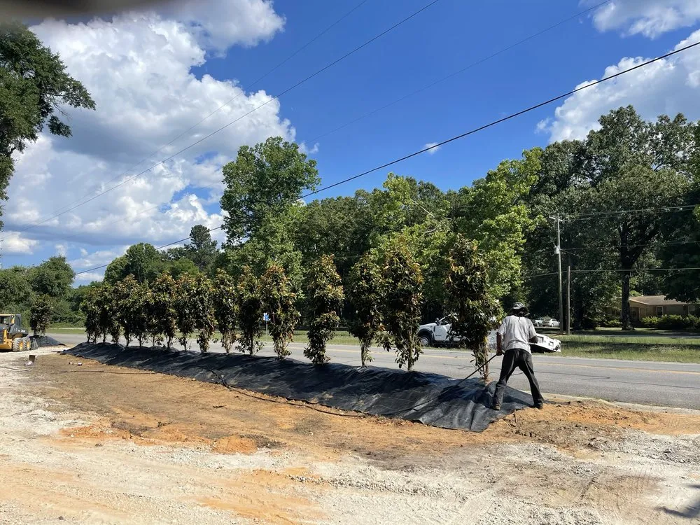 Reliable landscaping services for beautiful yards in Salley, SC by Local Boy's Nursery & Landscaping