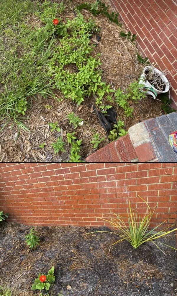Trusted landscaping services in Riceboro, GA - Local Boys