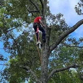 Local lawn care service near you across Riceboro, GA - Local Boys
