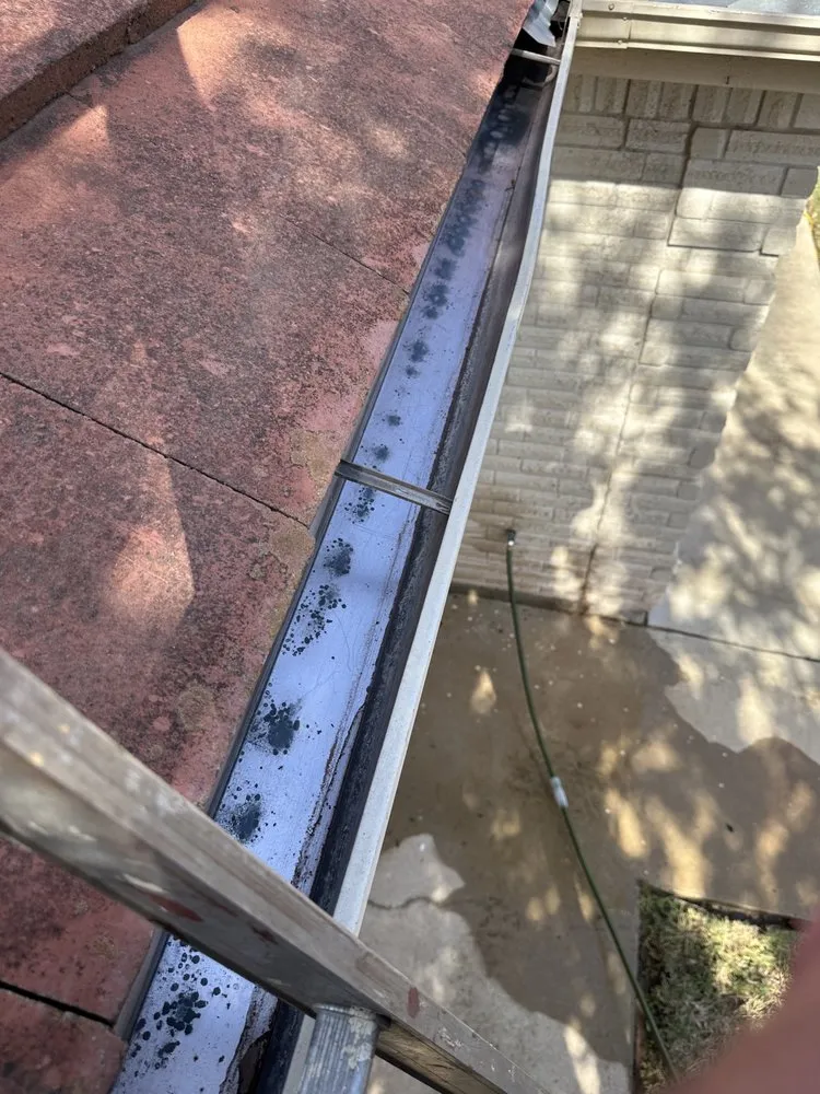 Professional landscape installation near you across Mission, TX - Local Boyz