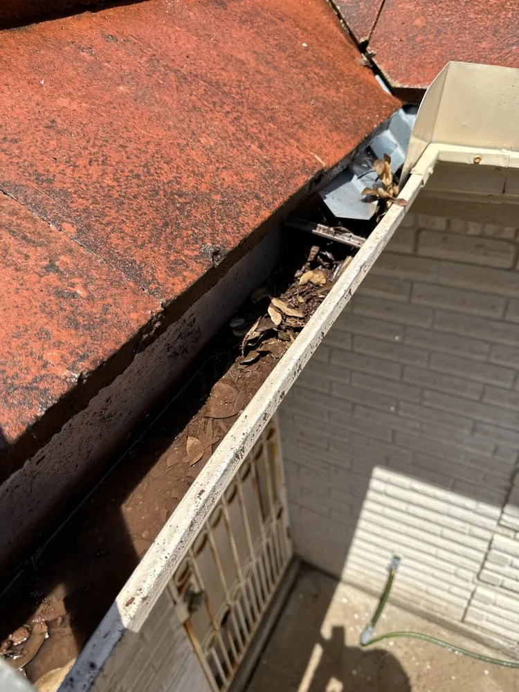 Professional landscape design in Mission, TX - Local Boyz