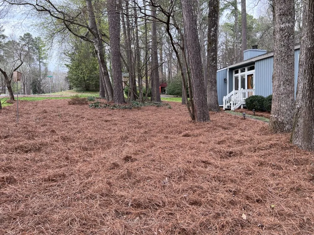 Professional yard cleanup service for beautiful yards in Snellville, GA by Local Boyz