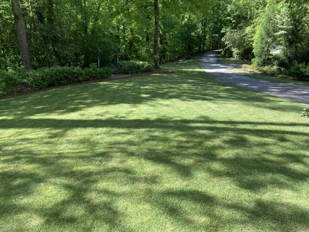 Expert garden landscaping for year-round maintenance in Snellville, GA by Local Boyz