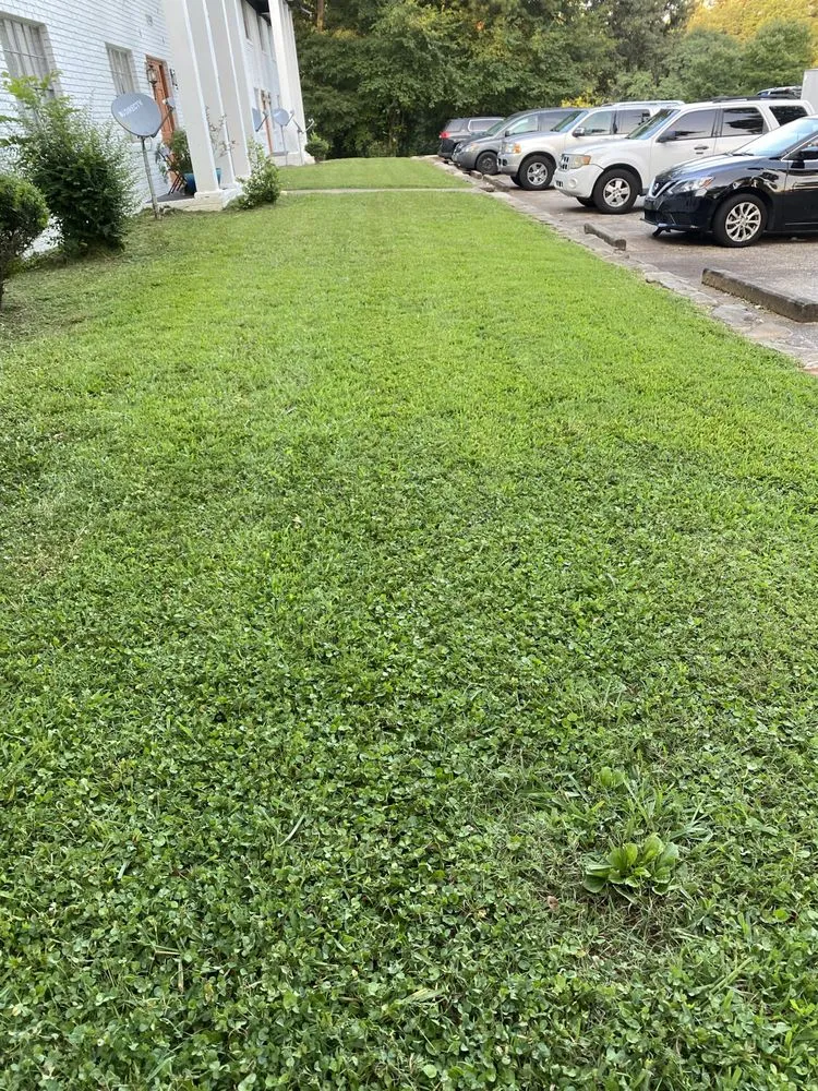 Professional yard maintenance for beautiful yards in Snellville, GA by Local Boyz