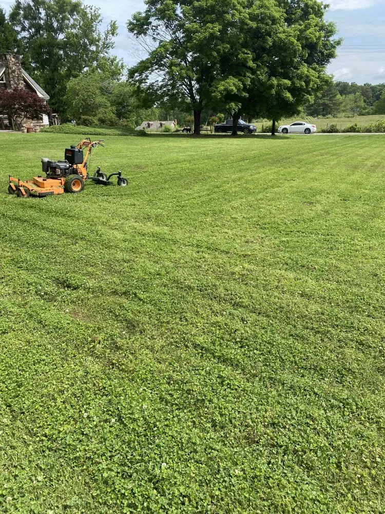 Trusted landscape design for beautiful yards across Snellville, GA - Local Boyz