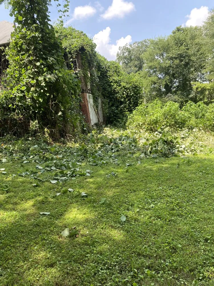 Professional landscaping services in Snellville, GA by Local Boyz